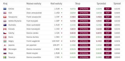 kursy walut dziś.